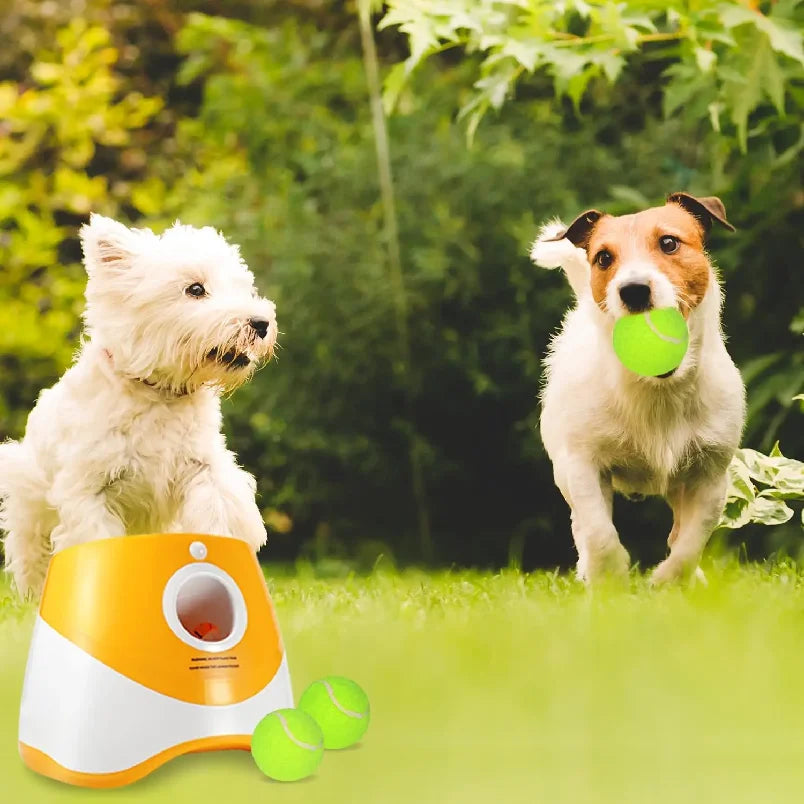 Dog Tennis Launcher Automatic Pet Dogs Chase Toy Mini Tennis Throwing Pinball Machine Fun Interactive Throw Rechargable Catapult