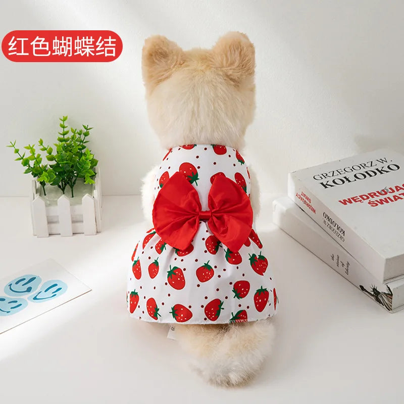 Summer Spring Dog Princess Dress Pet Skirt Cute Dog Dress Bow Lace for Small Medium Puppy Poodle Chihuahua Clothes
